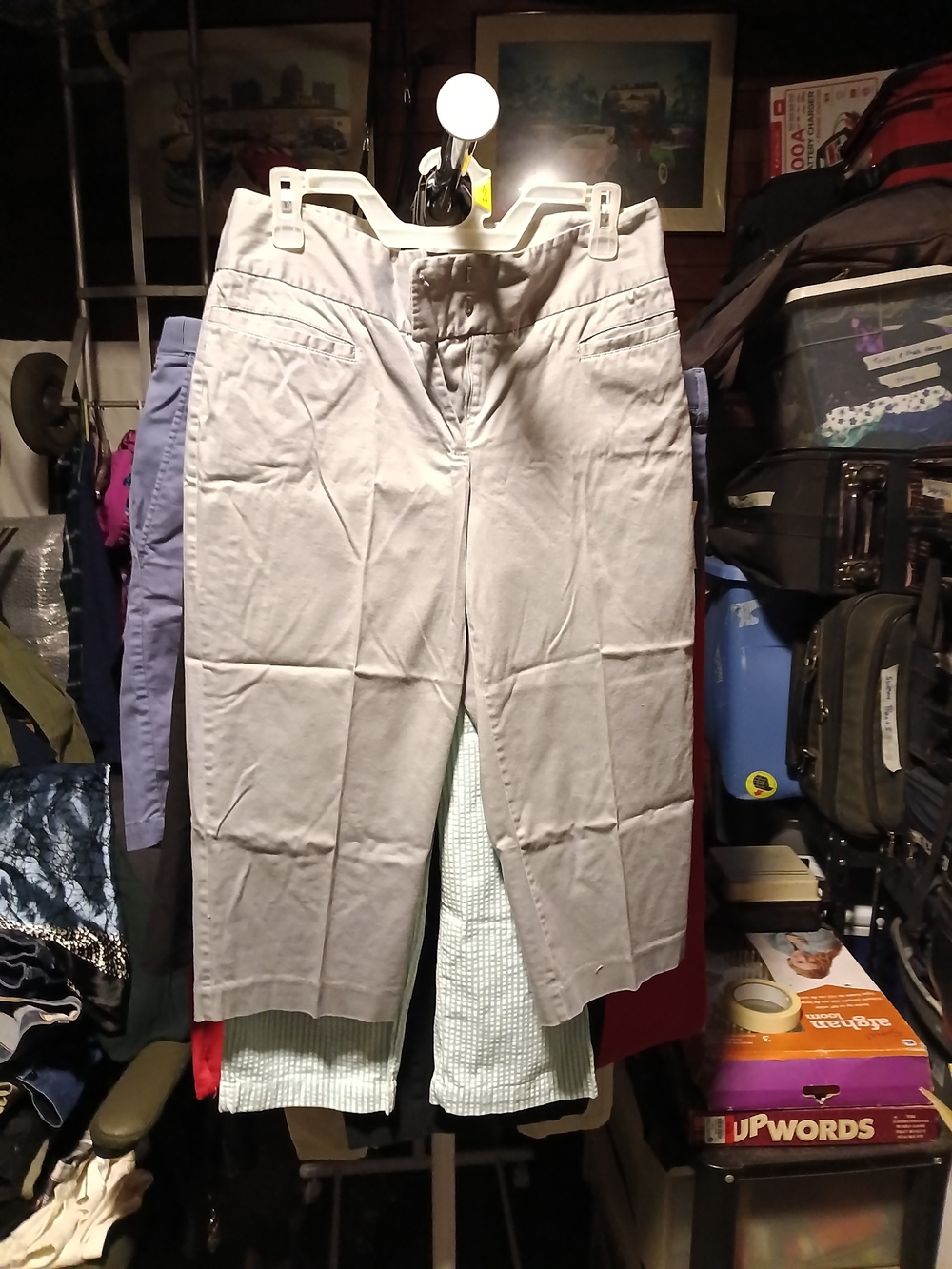 Fashion Bug Light Gray Women's Bermuda Shorts